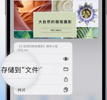 三元apple维修中心分享iPhone文件应用中存储和找到下载文件