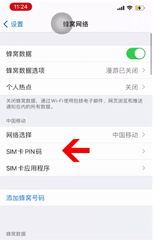 三元苹果14维修网分享如何给iPhone14的SIM卡设置密码 