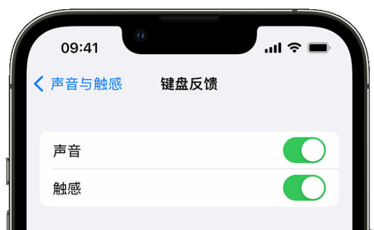 三元苹果手机维修分享iPhone 14触感键盘使用方法 