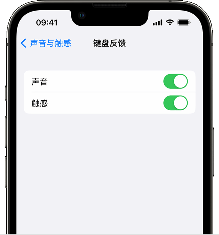 三元苹果14维修店分享如何在 iPhone 14 机型中使用触感键盘 