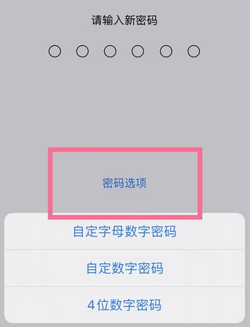 三元苹果14维修分享iPhone 14plus设置密码的方法 