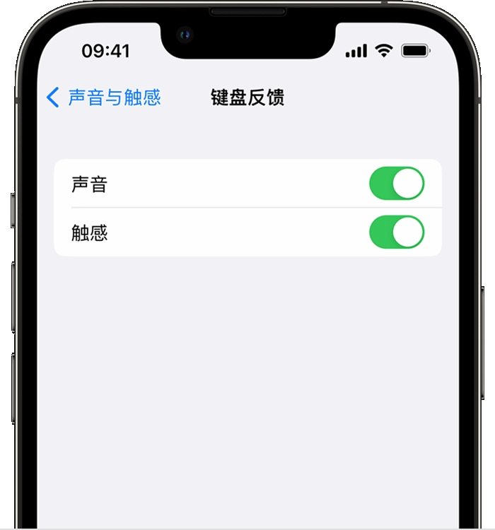 三元苹果14维修分享iPhone 14 系列机型如何开启键盘声音或触感反馈 