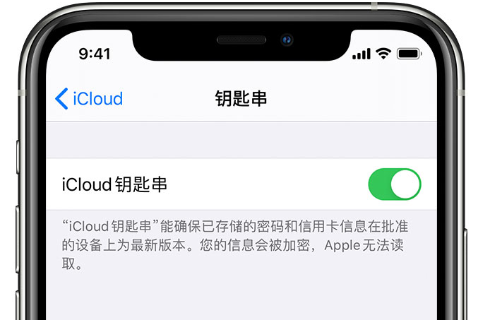 三元苹果手机维修分享在 iPhone 上开启 iCloud 钥匙串之后会储存哪些信息 