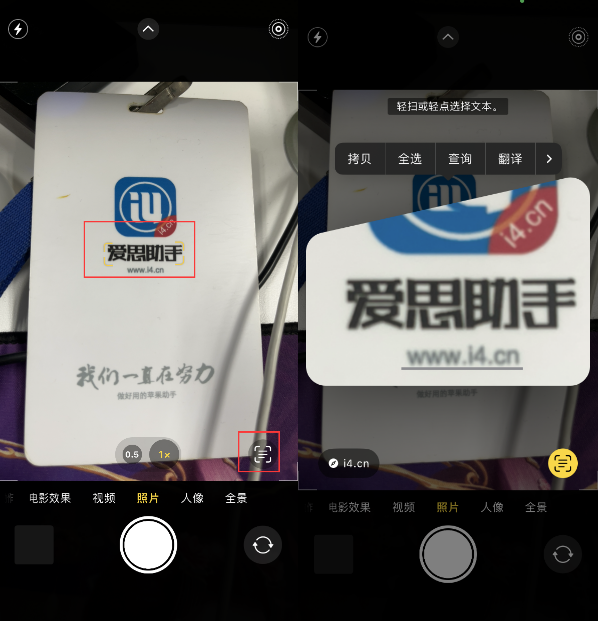 三元苹果手机维修分享升级iOS 16后如何通过相机翻译文本 