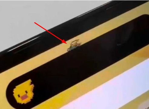 三元苹果14维修分享iPhone 14 Pro Max灵动岛怎么养宠物 