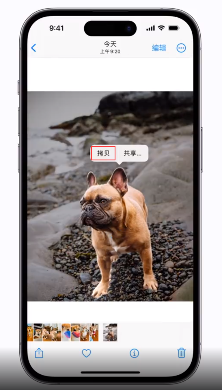 三元苹果手机维修分享 iOS 16 自带一键抠图功能 