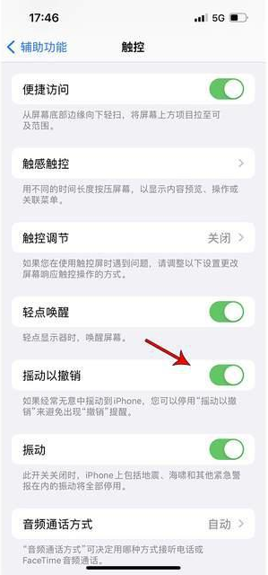 三元苹果手机维修分享iPhone手机如何设置摇一摇删除文字 