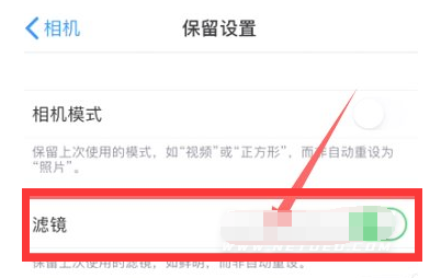 三元苹果13维修分享iPhone13拍照有绿点是怎么回事 