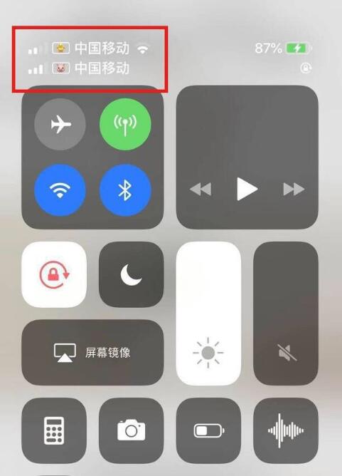 三元苹果手机维修分享为 iPhone 12 双卡设置标签 
